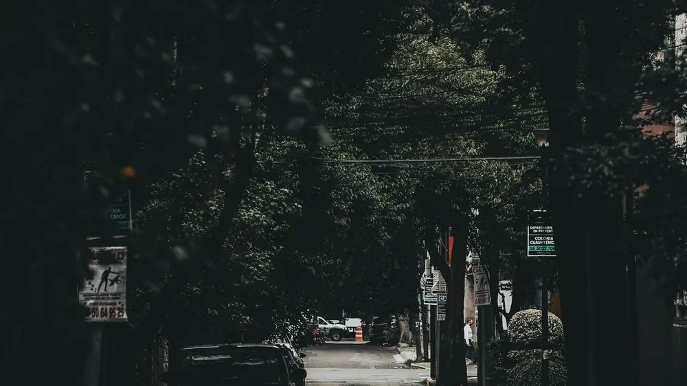 Autos estacionados sobre una calle urbana